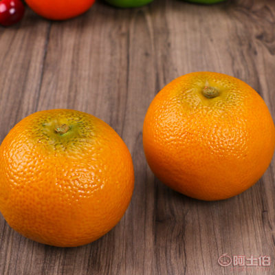 丁氏果業A級仿真柚子模型 提升水果陳列效果的專業之選