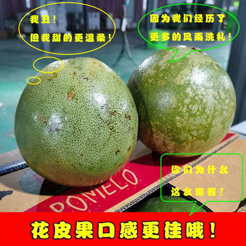 泰國青柚 白心金柚，當季鮮果，享譽全球的熱帶特產