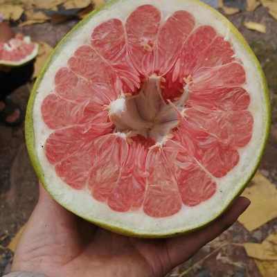 紅心柚批發價格探析 優質貨源，價優物美